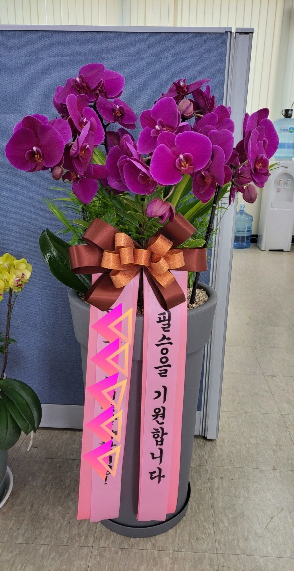 ����� (ȣ��) /  ����� ���ʱ� ���϶�