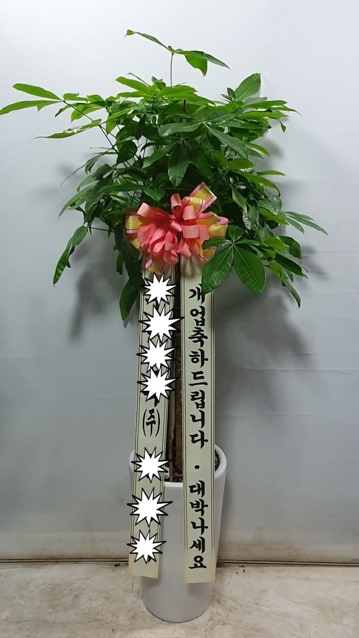 ��Ű�� / ��⵵ ���ν� ���°���