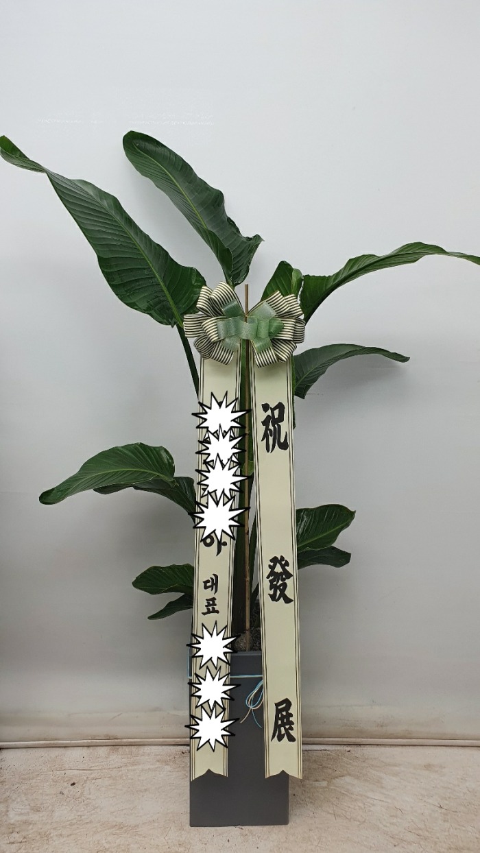 �ض��� / ��õ�� ����Ȧ��