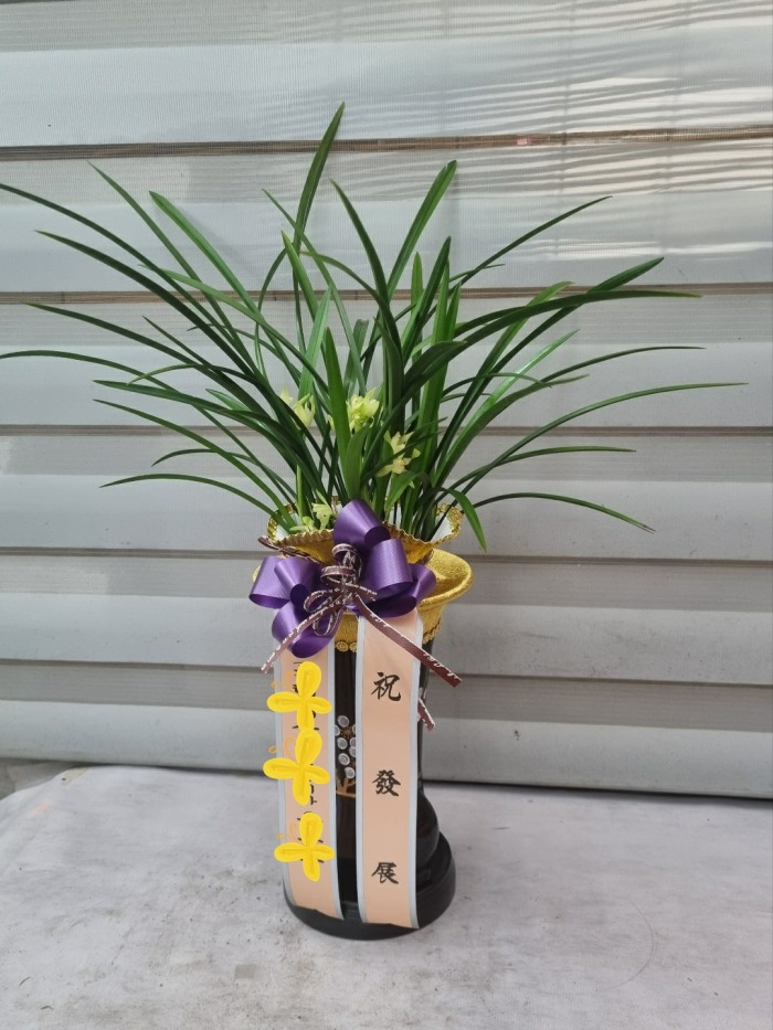 ����� /  ��õ�� ����Ȧ�� 