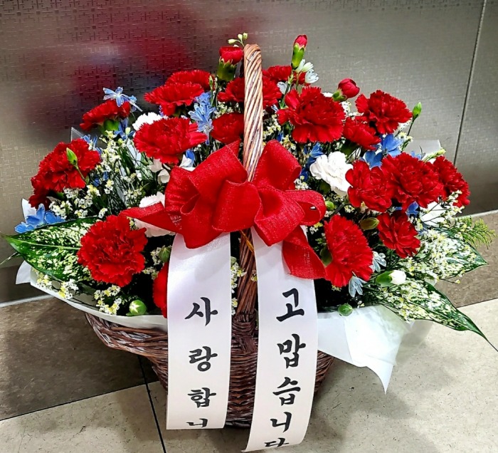 ����̳� ���� ���  �ɹٱ���