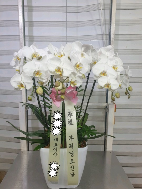 ��ó�Կ��ô³�  ����� 