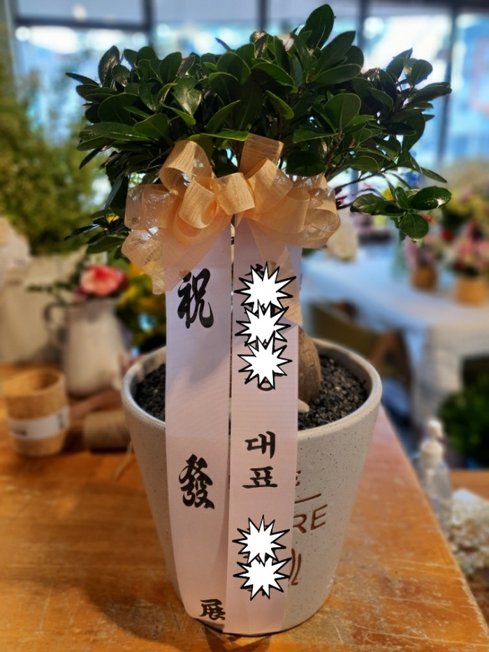 �λ��Ҵ�  �������� 