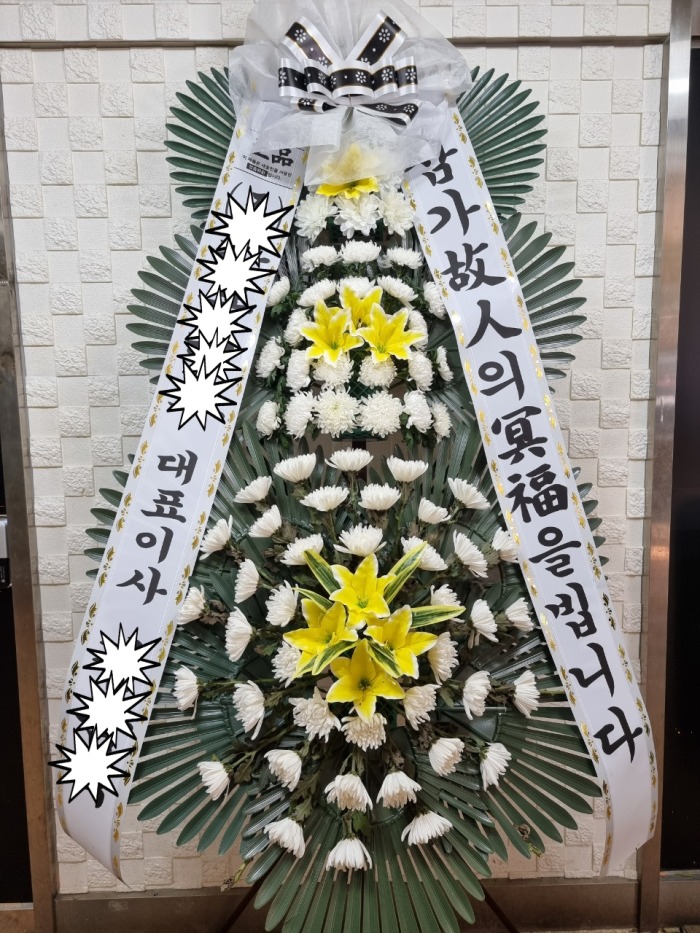 ����ȭȯ  / ���� �������������ʽ��� 