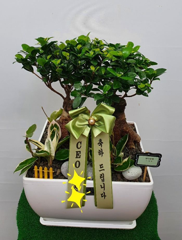 ���� ���۱� ��絿 / �λ��Ҵ�