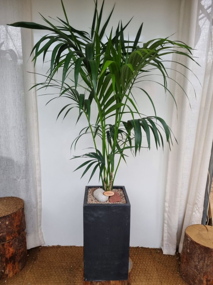 ��õ Ÿ����� /  ī�����׸���