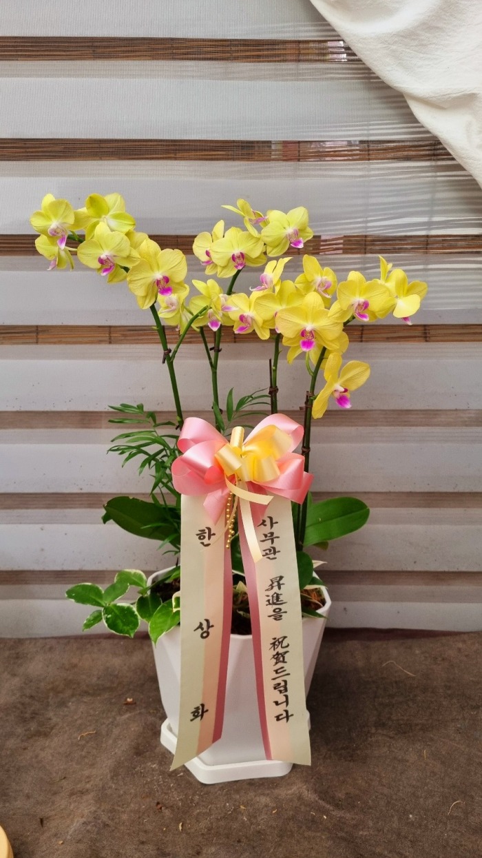 ���ȣ����