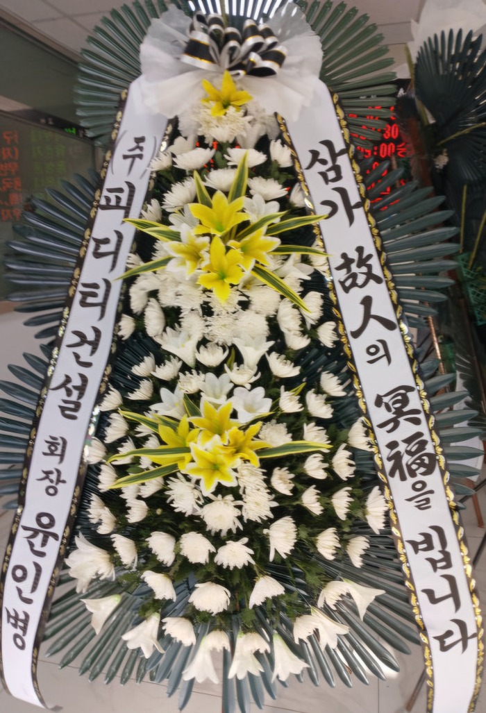 ����3��ȭȯ