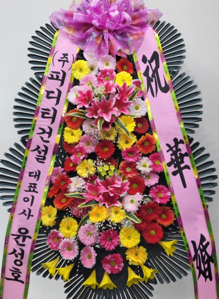 ��ȭȭȯ 3��